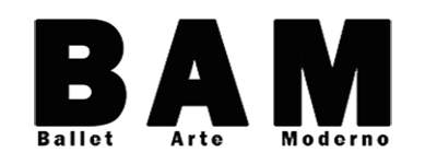 BAM LOGO 300 x150